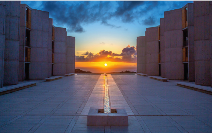 Designing wellness: neuroscience, emotional architecture and human relationships - 9.01.2025